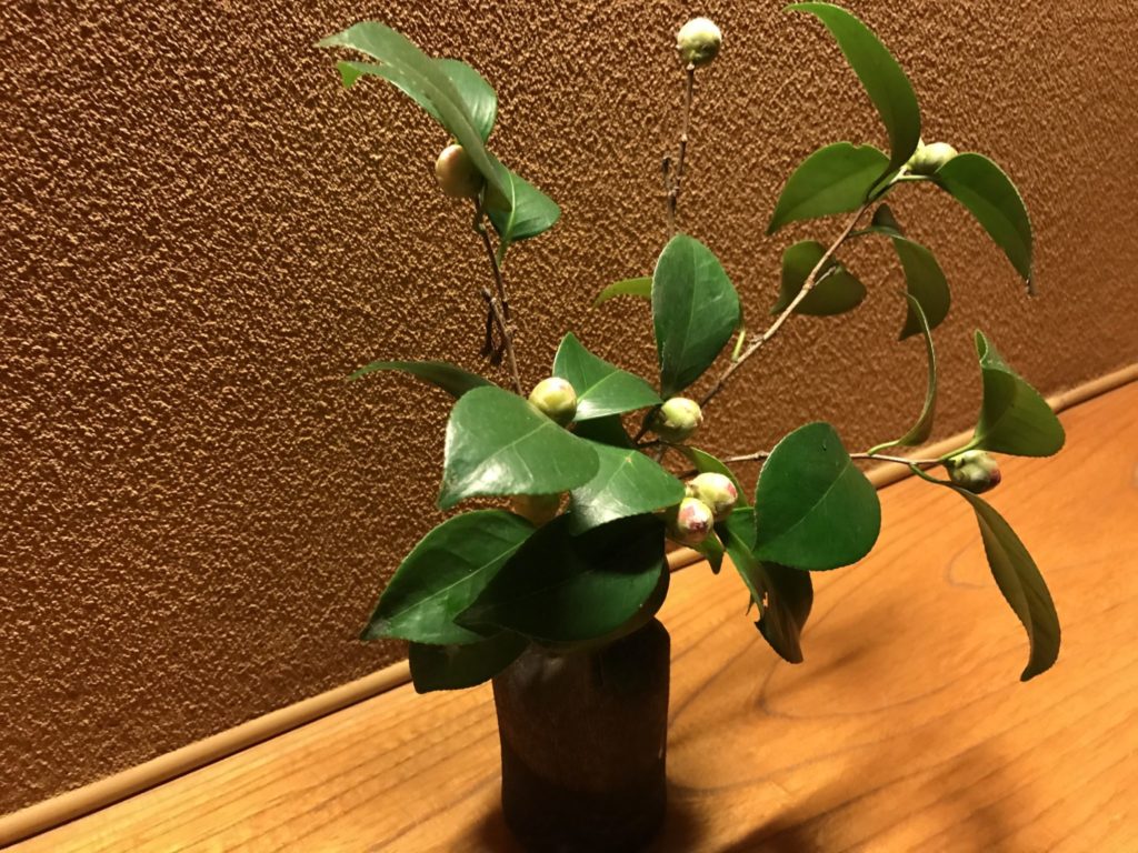 ところどころに可愛い植物が飾られてます