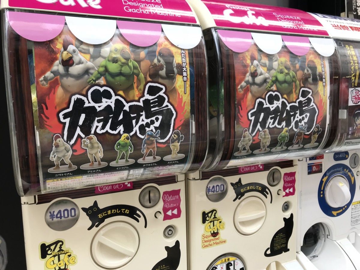 ガチムチ鳥 は鳥好きならきっとコンプしたくなる魅惑のガチャ 遊びじゃ内閣